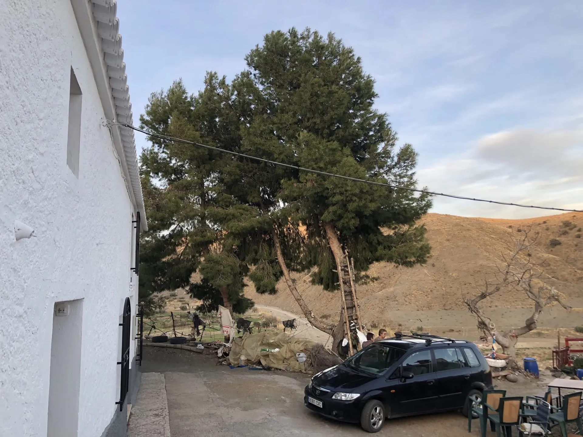 Cortijo Los Pardos 2