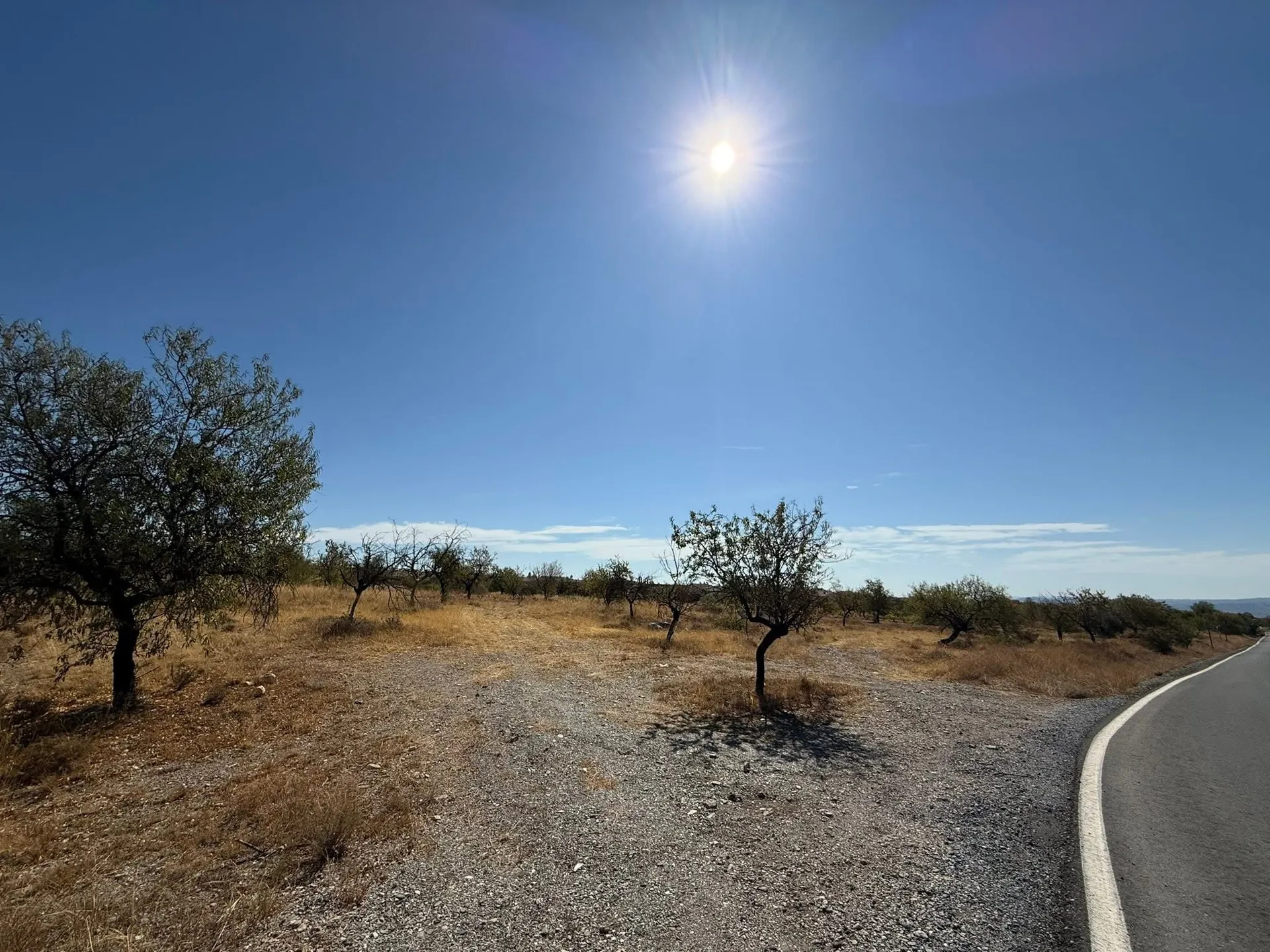 Terreno Albox-Saliente 2