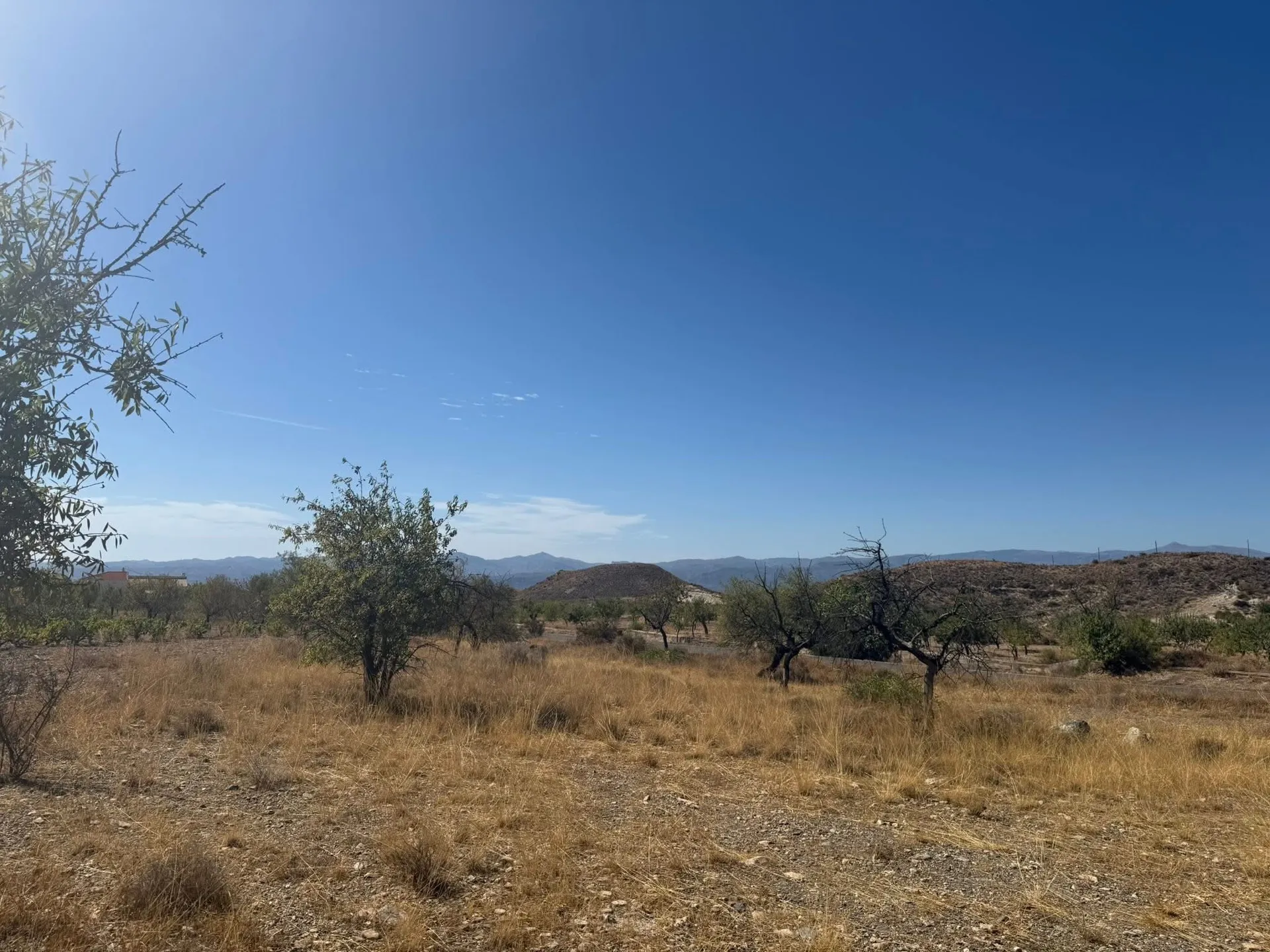 Terreno Albox-Saliente 3