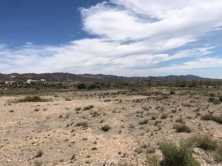 Parcela Balta Albox 3