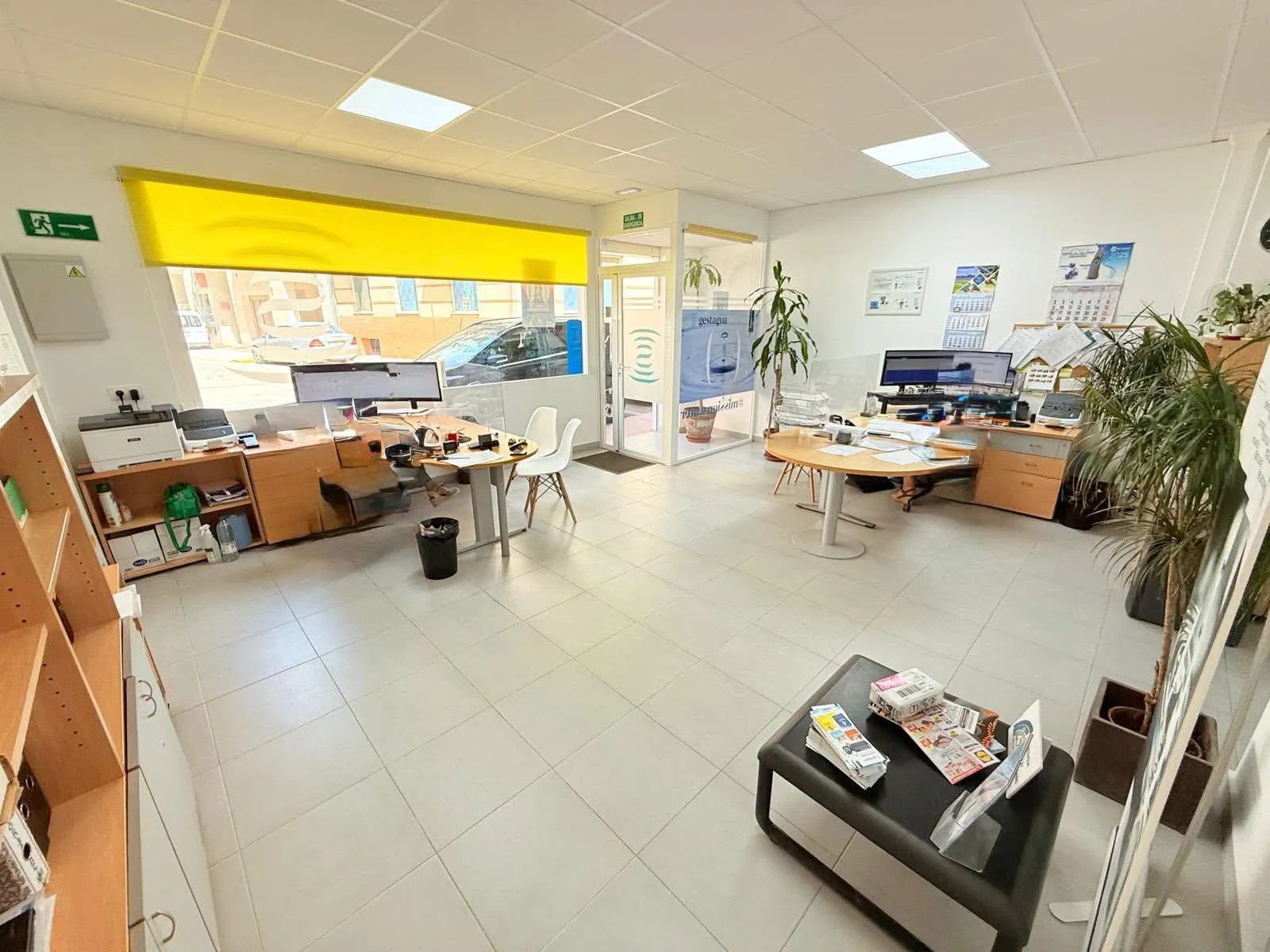 Local Actual Gestagua 2