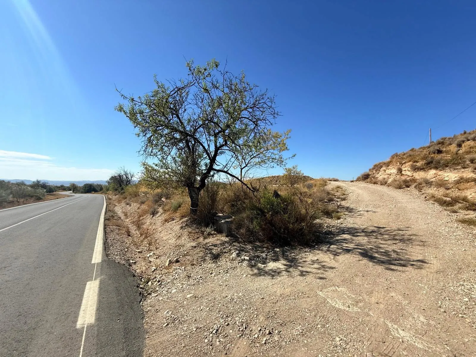 Finca Albox Saliente 14300m2