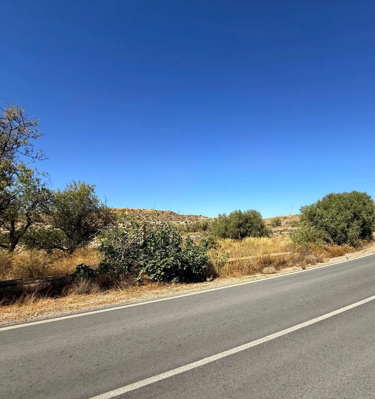 Finca Albox Saliente 14300m2 2