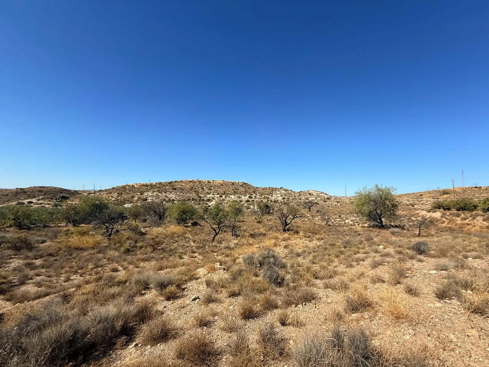 Finca Albox Saliente 14300m2 3