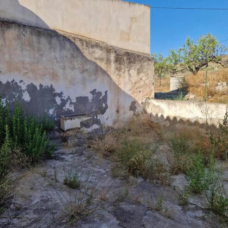 Cortijo Almanzora-Cantoria 3