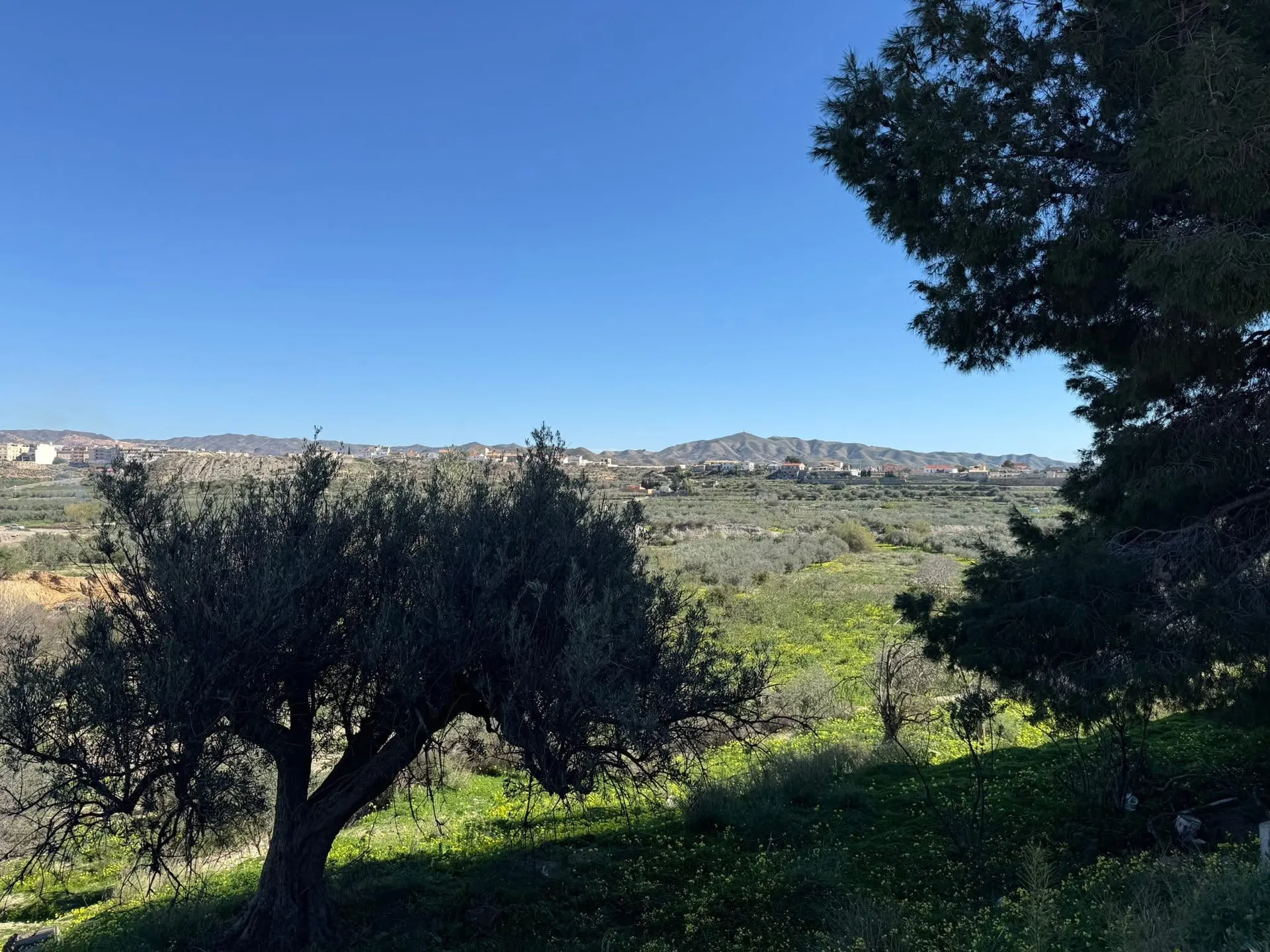 Casa con Terreno La Molata 2