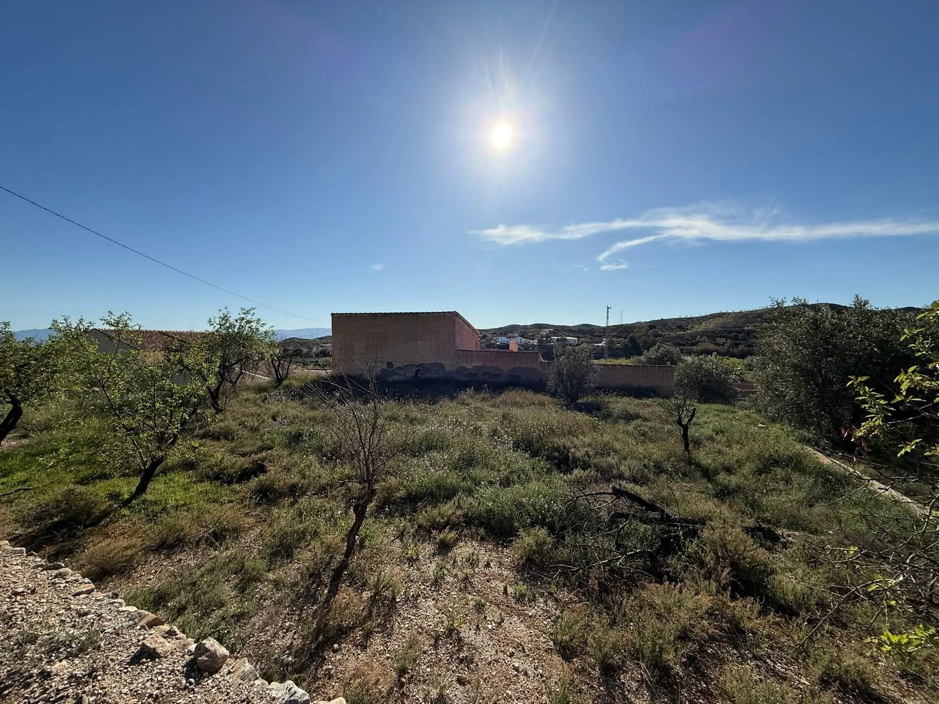 Cortijo Bajo Saliente 3