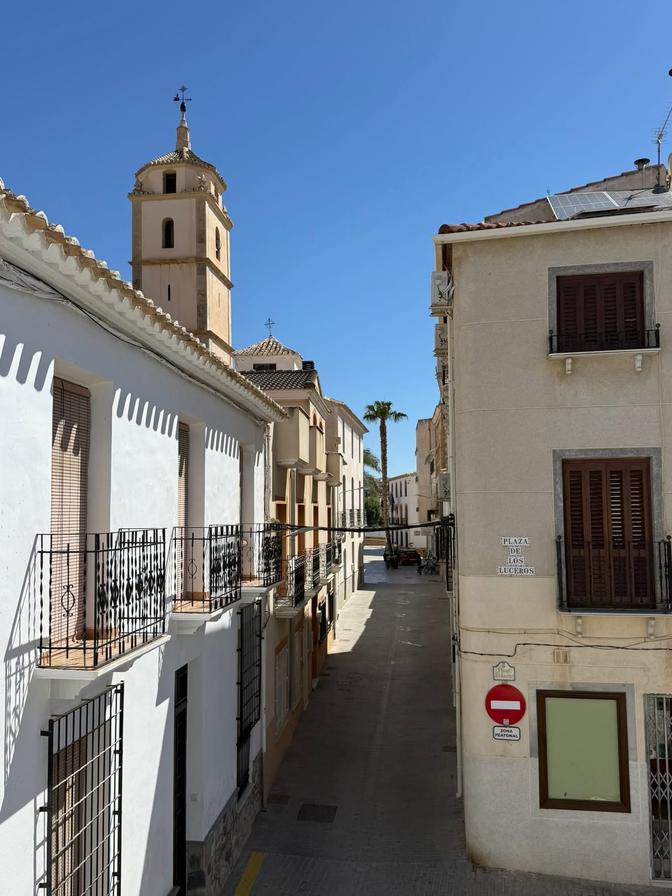 🏛️ AUTHENTIC LATE 19TH-CENTURY MANOR HOUSE IN THE HEART OF ALBOX (ALMERÍA) 2