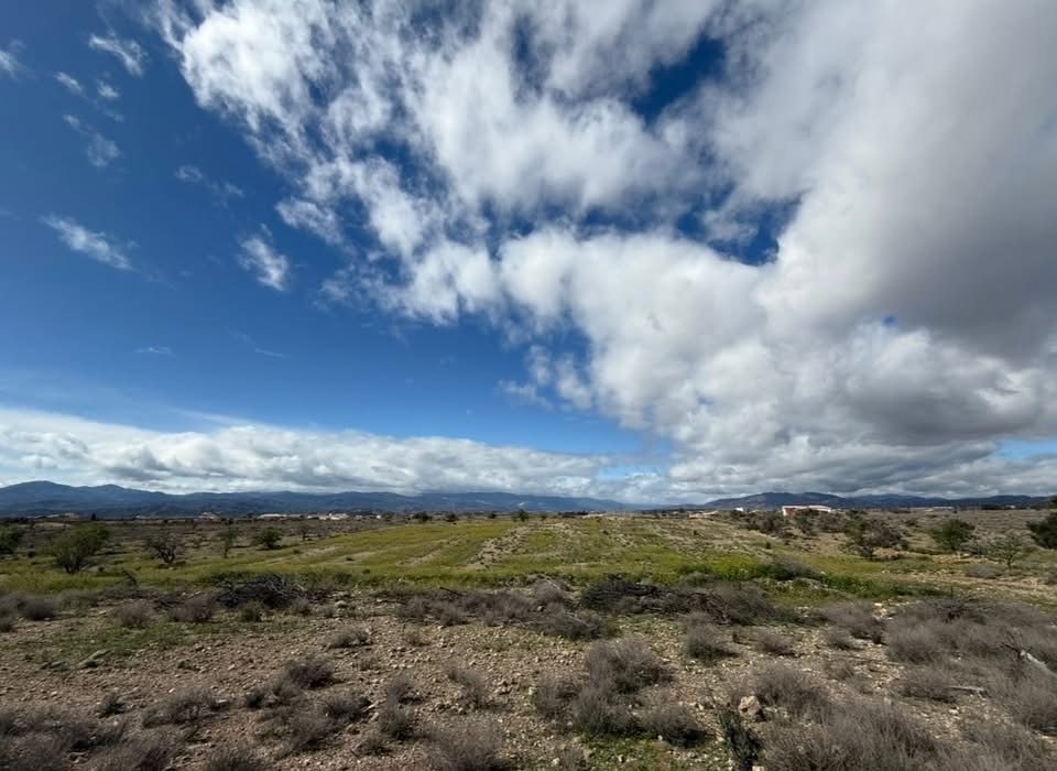 RUSTIC PLOT WITH ACTIVE LICENCE 3