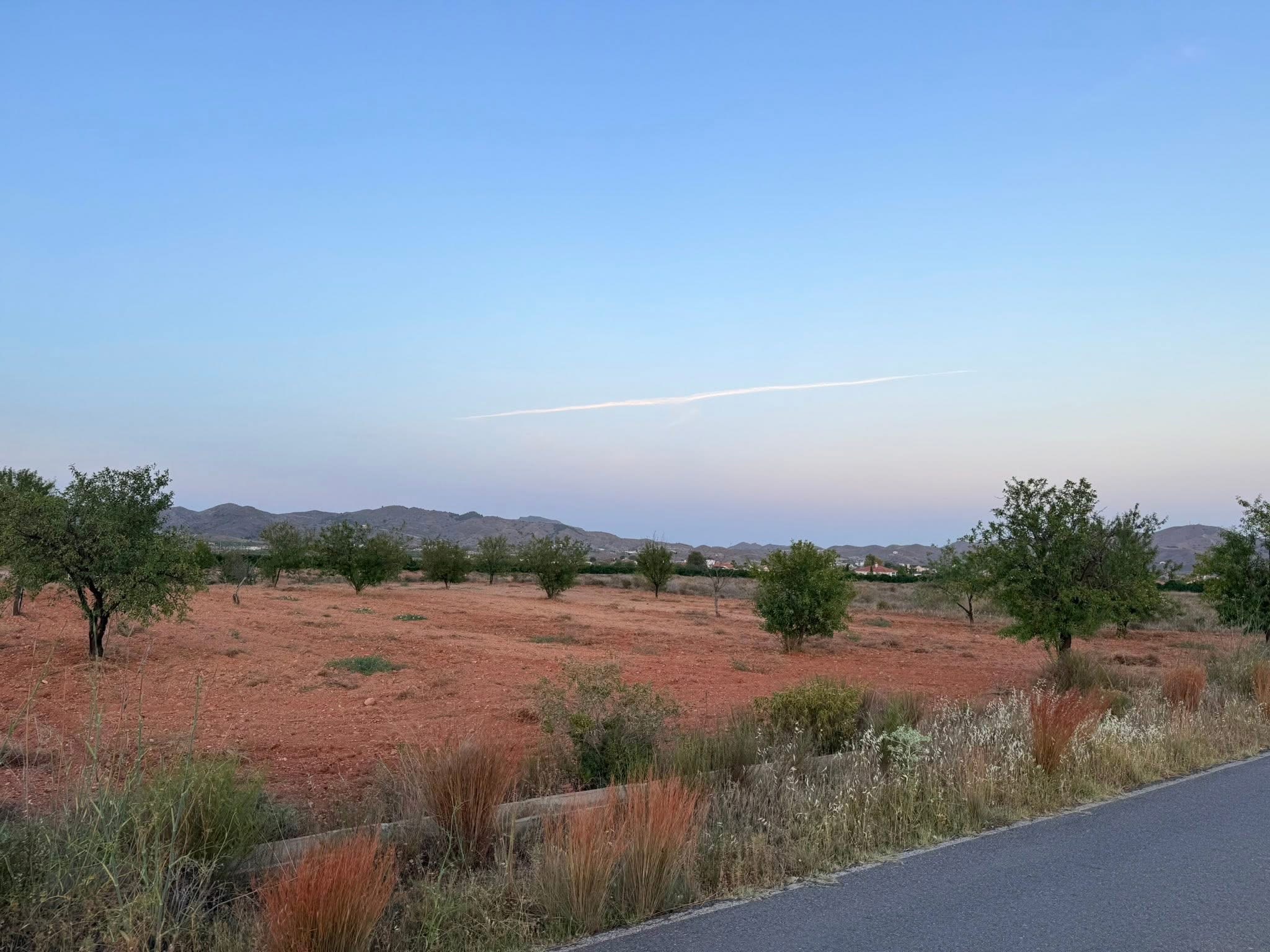 Land for sale in La Aljambra – Albox (Almería)