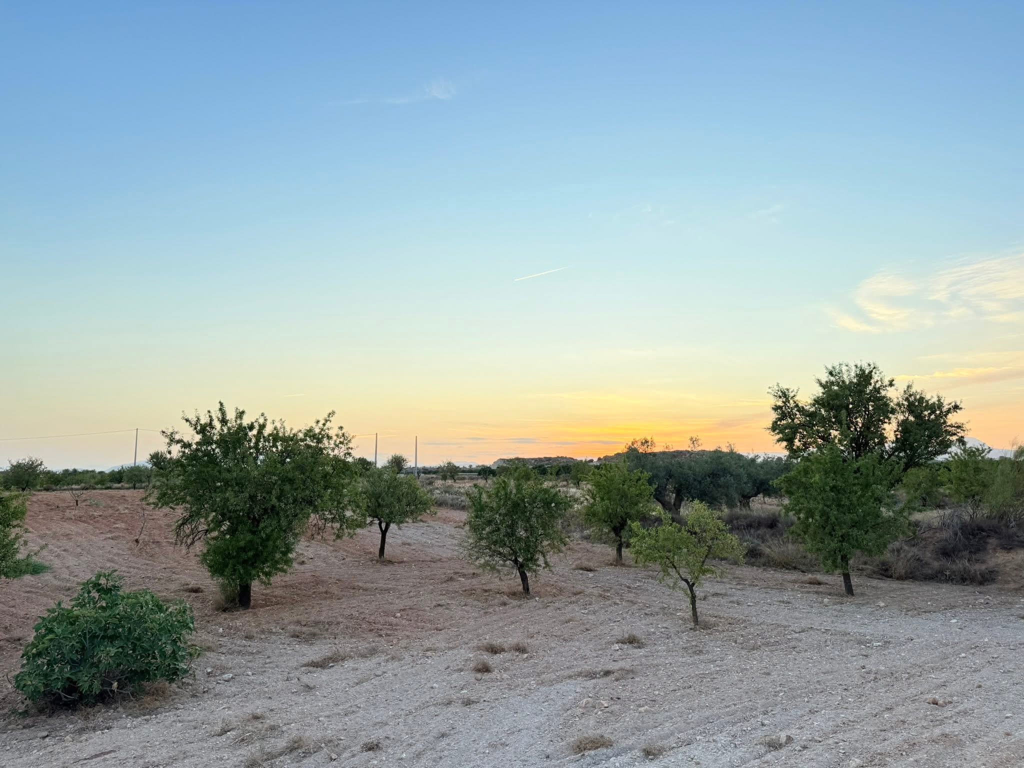 Land for sale in La Aljambra – Albox (Almería) 3
