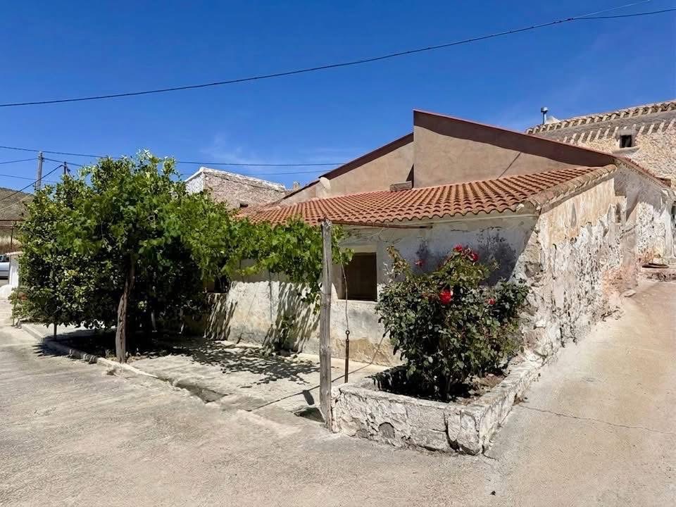 Casa con Terreno 