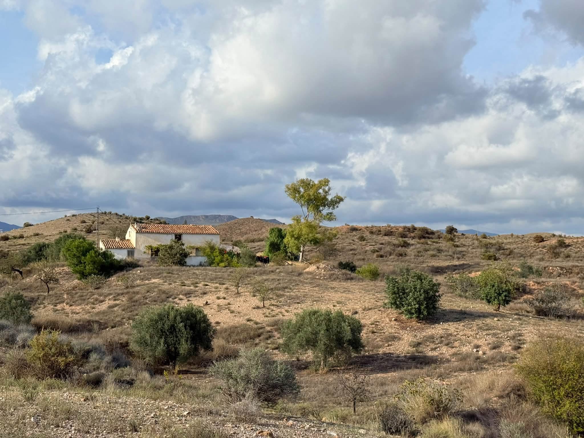 ☀️🌿 TU PROPIO CORTIJO · MÁS DE 20.000 M² DE TERRENO · MÁS DE 400 M² CONSTRUIDOS · A 8 MINUTOS DE ALBOX 3